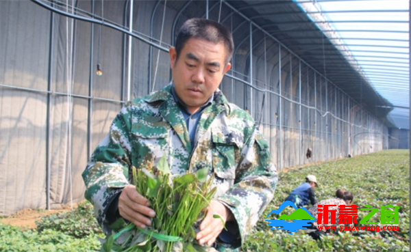 屏幕截图 2025-03-04 124934.png